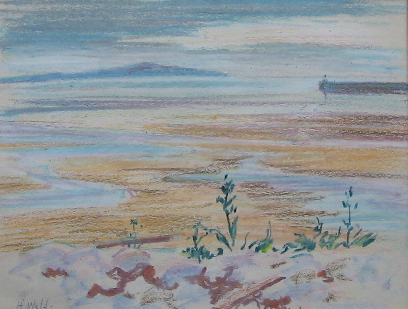 Weld, Helen – View from Pembroke Point