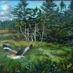 Mandell Roy Willet and Spruce