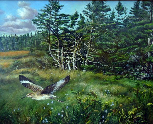 Mandell Roy Willet and Spruce