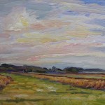 Tim Turpin Chegoggin Marshlands 28 Oct 15