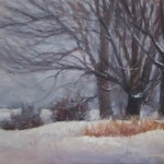 cluny-maher-maples-slide