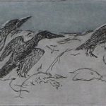 7 Cormorants large slider