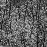 cropped-Cecil-Day-Lupin-Pods-etching.jpg