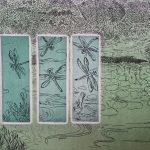 Dragonflies Lake Milo new revolving