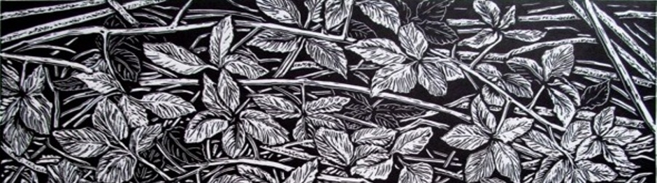 Blackberry canes linocut for slider