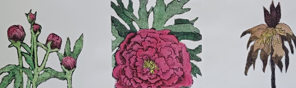 Peony triptych slider