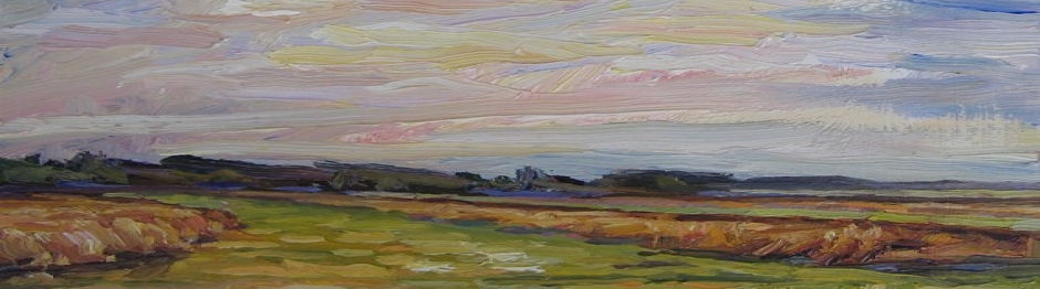 Tim Turpin Chegoggin Marshlands 28 Oct 15